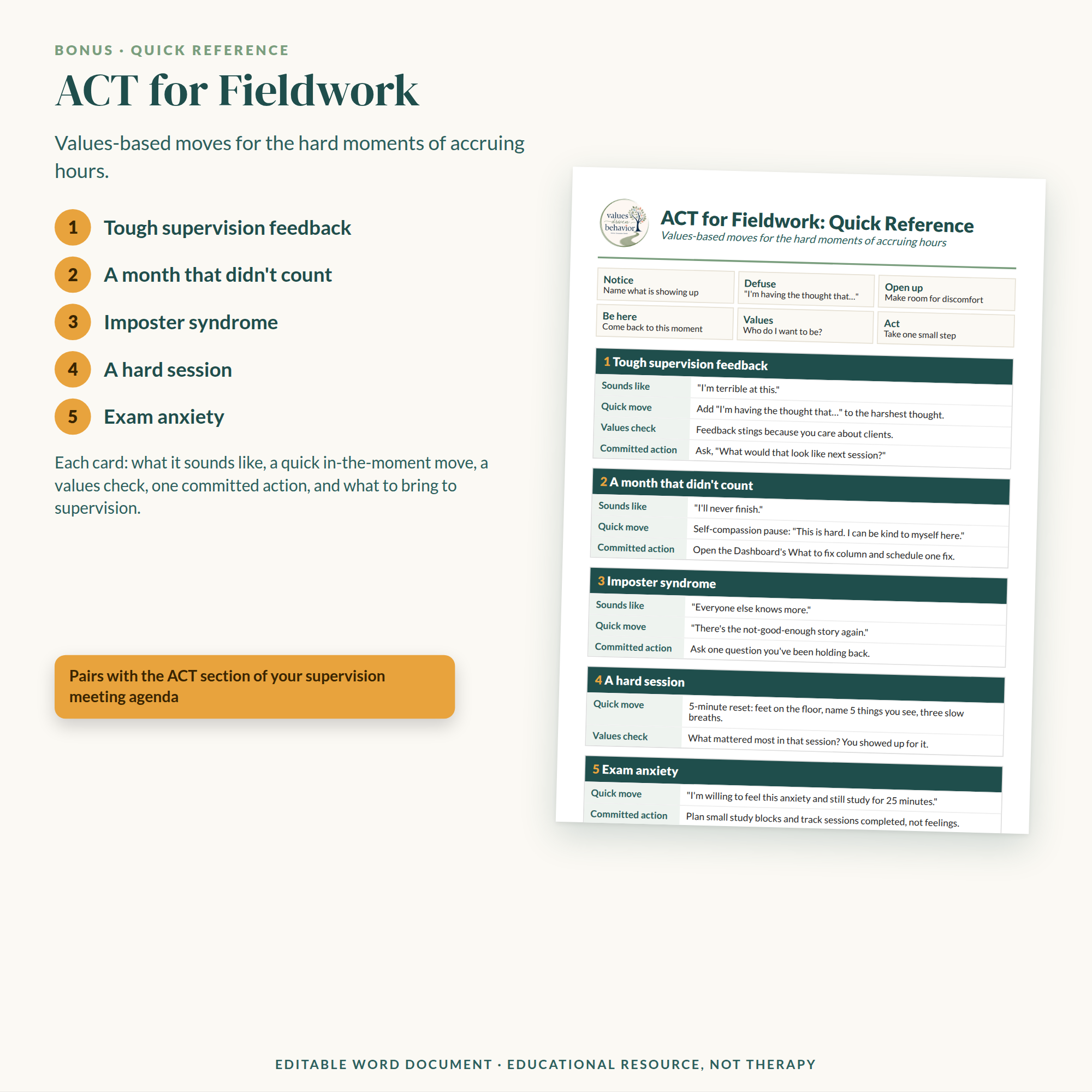 2027 BCBA BCaBA Fieldwork Tracker BUNDLE, Unrestricted Hours Ideas, Supervision Agenda, ACT-Informed Troubleshooting AND MORE! - Image 9