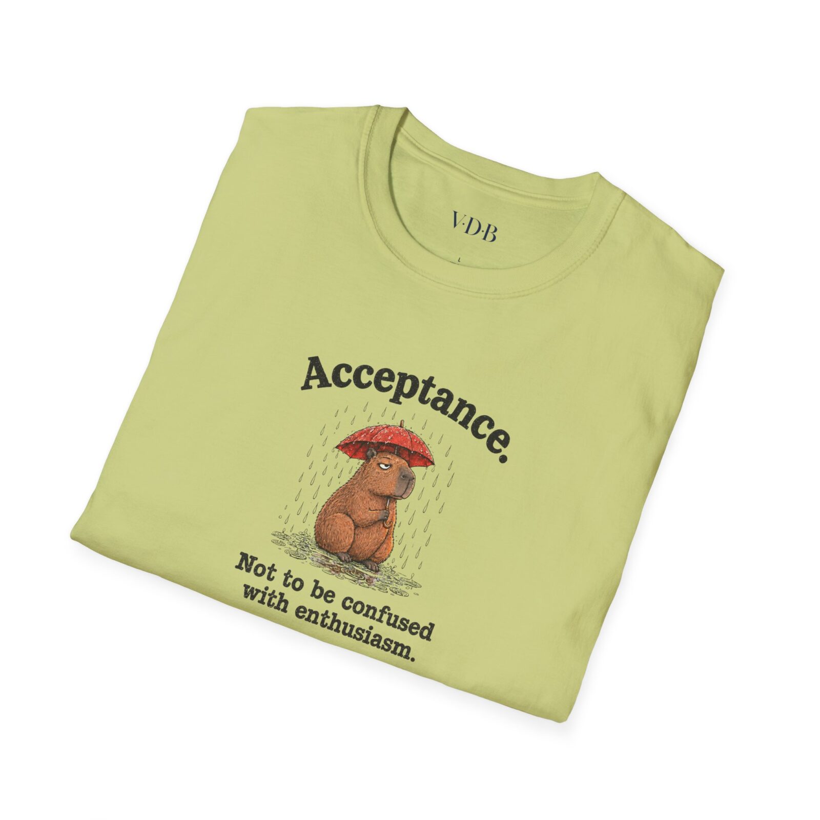 Acceptance Capybara Shirt | Funny Unbothered Animal Tee - Image 11