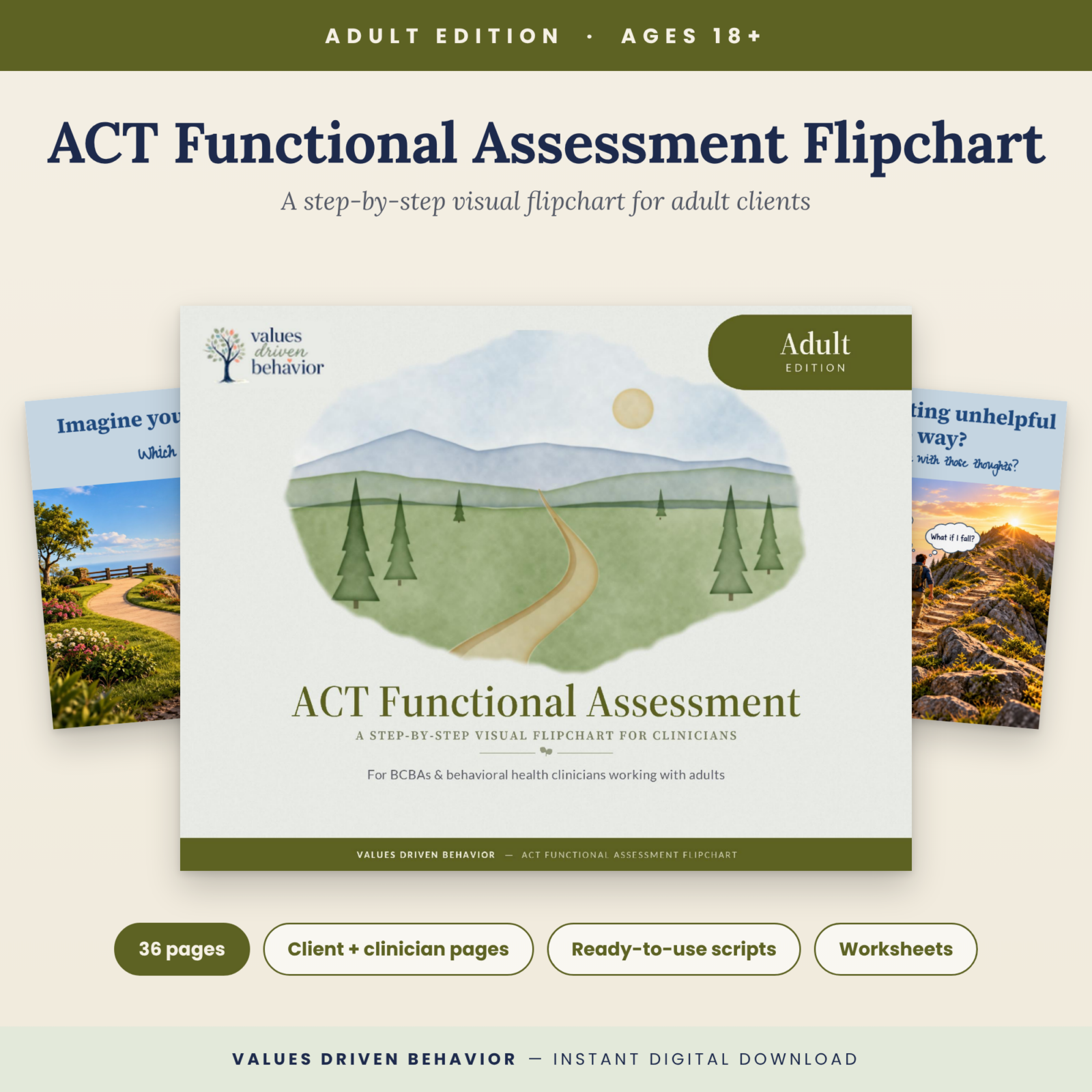 ACT Functional Assessment Flipchart: Adult Edition (18+)